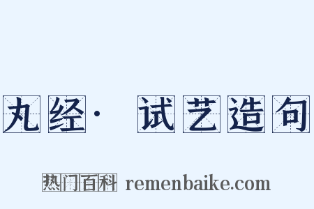 丸经·试艺造句是什么意思的图片